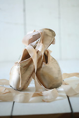 Image showing Posed Pointe Shoes in Natural Light 