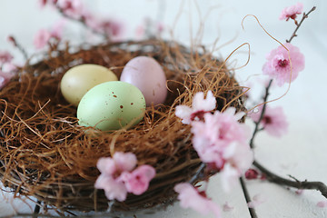 Image showing Easter Holiday Themed Still Life Scene in Natural Light