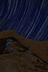 Image showing Night Star Trail Streaks over the Rocks of Joshua Tree Park