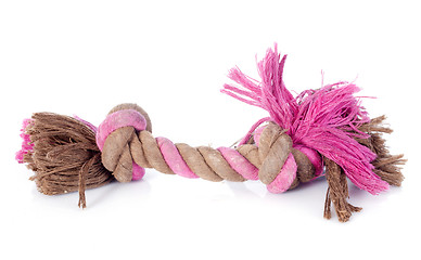 Image showing dog toy