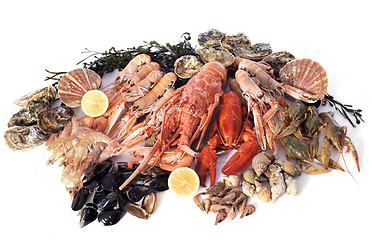 Image showing seafood