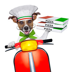 Image showing pizza delivery dog