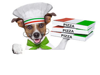 Image showing pizza delivery dog