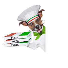 Image showing pizza delivery dog