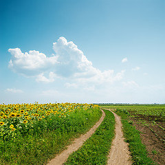 Image showing dirty road to horizon in agriculture fields and clouds over it