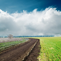 Image showing spring dirty road in green fields and clouds over it