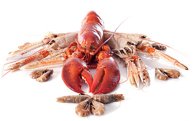 Image showing seafood