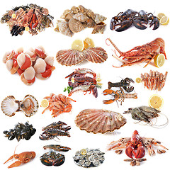 Image showing seafood and shellfish