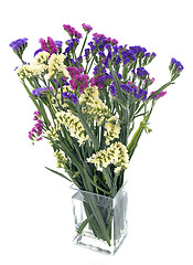 Image showing limonium