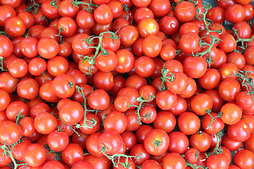 Image showing lot of ripe tomato