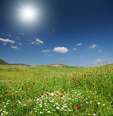 Image showing spring mountain landscape in Turkey