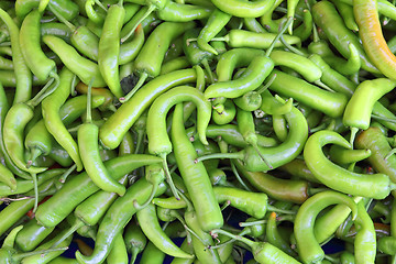 Image showing lot of green chilli peppers