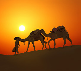 Image showing cameleerand camels - silhouette against sunset