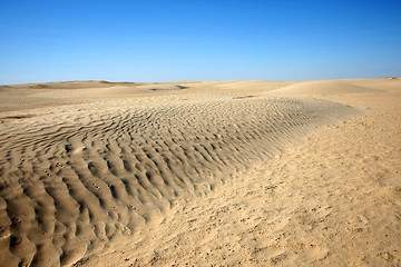 Image showing Dunes in Sahara