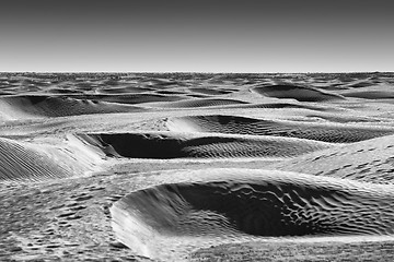 Image showing Dunes of Sahara desert black and white