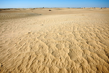 Image showing Dunes of Sahara