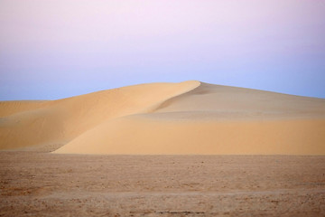 Image showing Sand dunes in Sahara desert