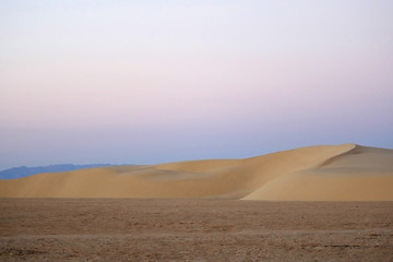 Image showing Dunes in Sahara desert