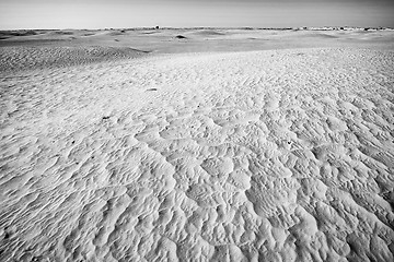 Image showing Dunes of Sahara black and white