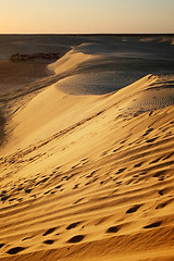 Image showing Sand dunes in Sahara