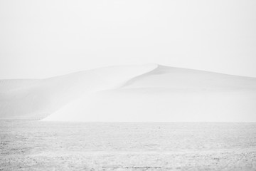 Image showing Sand dunes in Sahara desert high key