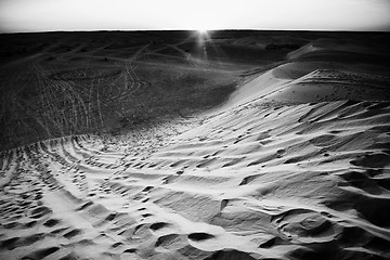 Image showing Sunset in Sahara desert black and white