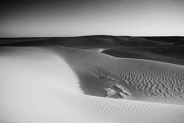 Image showing Dunes of Sahara black and white