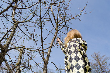 Image showing girl cut fruit branch with handsaw in spring time 