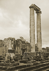 Image showing Apollo temple in Turkey