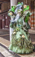 Image showing Complex Green Venetian Disguise