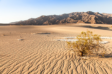 Image showing Death Valley Desert