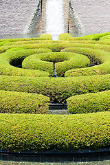 Image showing Garden Maze