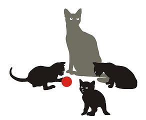 Image showing Cat Family at play