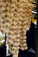 Image showing Garlic Braids (Allium sativum)