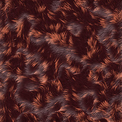 Image showing Close up fur texture to background