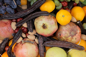 Image showing Autumn Harvest