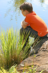 Image showing Child watching fish