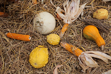 Image showing Thanksgiving Harvest