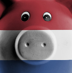 Image showing Ceramic piggy bank with painting of national flag 