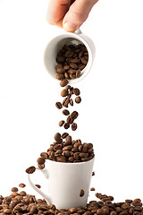 Image showing coffee beans