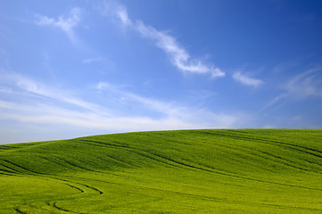 Image showing Green hill and blue cloudy sky.