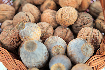 Image showing A pile of walnuts and poppy