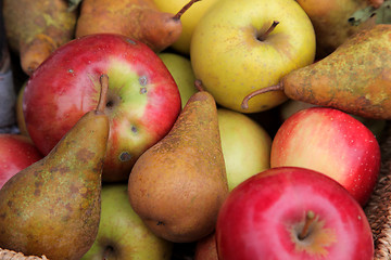 Image showing Apples and pears
