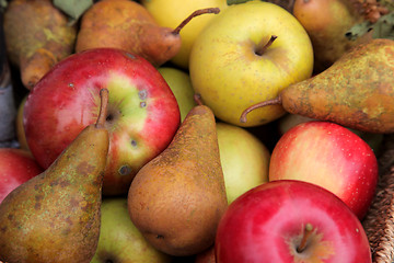 Image showing Apples and pears
