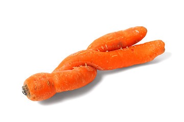 Image showing Double Carrot