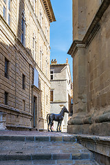 Image showing Houses in Pienza