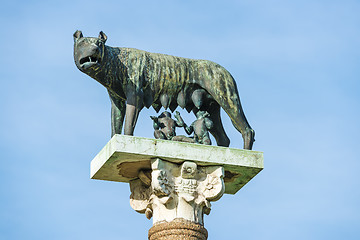 Image showing Wolf with Romulus and Remus