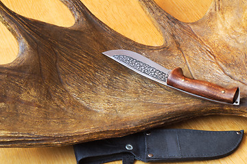 Image showing Hunting knife sheath and a trophy hunter - big elk horn.