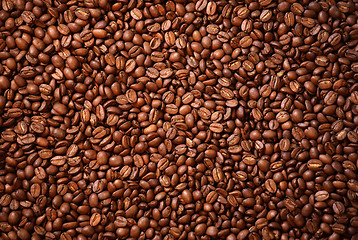 Image showing large amount of aromatic coffee beans