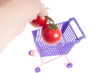Image showing Hands putting tomatoes into shopping-cart